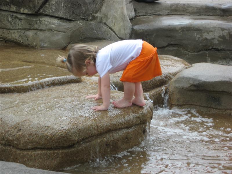 D-ZooWMummy (63).JPG - Well, it's no Dunn's River Falls, but it's a lot of fun!?...